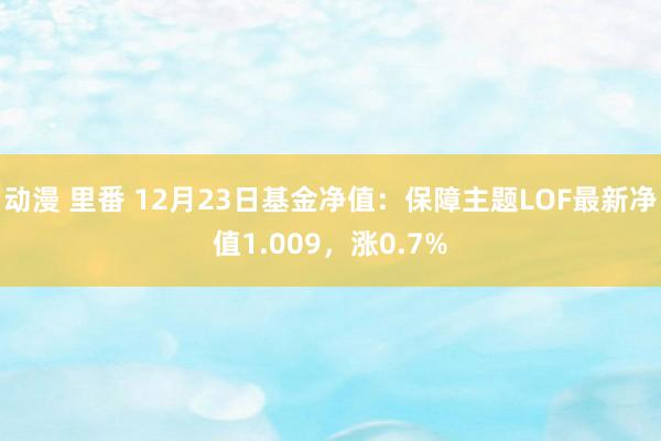 动漫 里番 12月23日基金净值：保障主题LOF最新净值1.009，涨0.7%