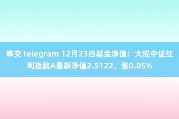 拳交 telegram 12月23日基金净值：大成中证红利指数A最新净值2.5122，涨0.05%