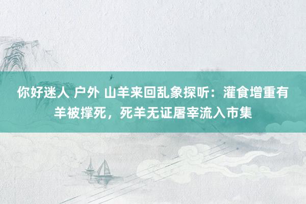 你好迷人 户外 山羊来回乱象探听：灌食增重有羊被撑死，死羊无证屠宰流入市集