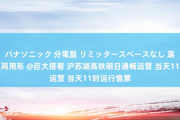 パナソニック 分電盤 リミッタースペースなし 露出・半埋込両用形 @巨大搭客 沪苏湖高铁明日通畅运营 当天11时运行售票
