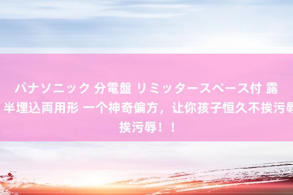 パナソニック 分電盤 リミッタースペース付 露出・半埋込両用形 一个神奇偏方，让你孩子恒久不挨污辱！！