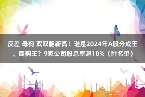 反差 母狗 双双翻新高！谁是2024年A股分成王、回购王？9家公司股息率超10%（附名单）