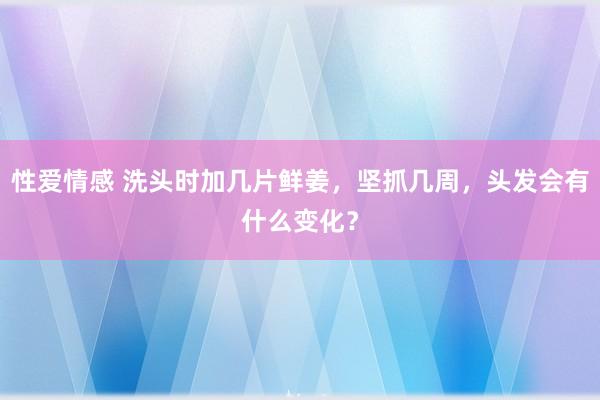 性爱情感 洗头时加几片鲜姜，坚抓几周，头发会有什么变化？