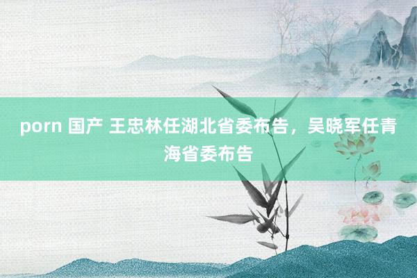 porn 国产 王忠林任湖北省委布告，吴晓军任青海省委布告