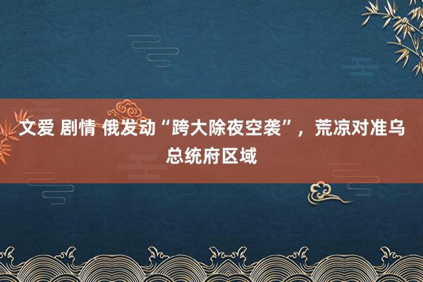 文爱 剧情 俄发动“跨大除夜空袭”，荒凉对准乌总统府区域