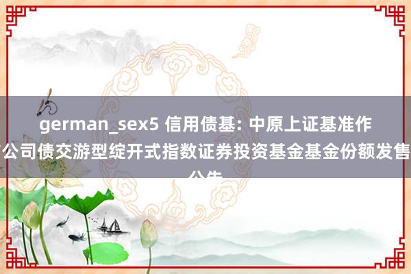 german_sex5 信用债基: 中原上证基准作念市公司债交游型绽开式指数证券投资基金基金份额发售公告