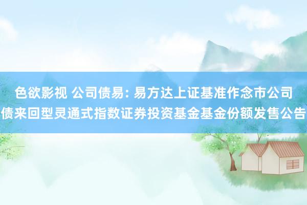 色欲影视 公司债易: 易方达上证基准作念市公司债来回型灵通式指数证券投资基金基金份额发售公告