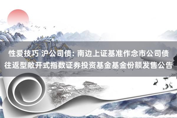 性爱技巧 沪公司债: 南边上证基准作念市公司债往返型敞开式指数证券投资基金基金份额发售公告