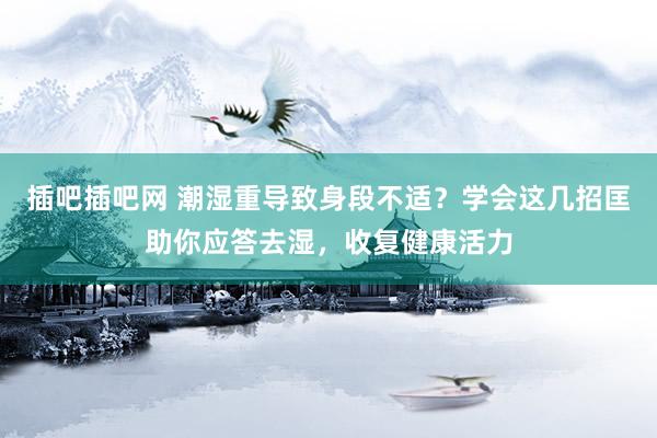 插吧插吧网 潮湿重导致身段不适？学会这几招匡助你应答去湿，收复健康活力