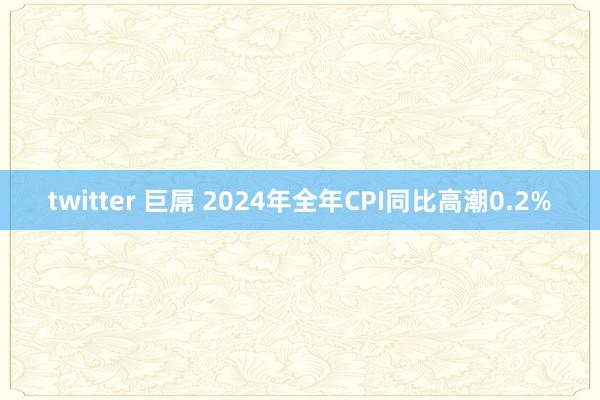 twitter 巨屌 2024年全年CPI同比高潮0.2%