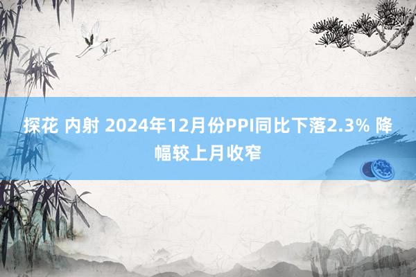 探花 内射 2024年12月份PPI同比下落2.3% 降幅较上月收窄