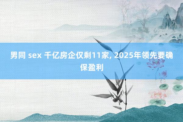 男同 sex 千亿房企仅剩11家, 2025年领先要确保盈利