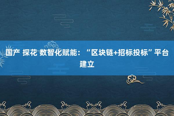 国产 探花 数智化赋能：“区块链+招标投标”平台建立