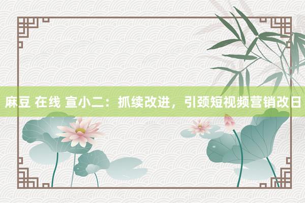 麻豆 在线 宣小二：抓续改进，引颈短视频营销改日