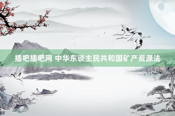 插吧插吧网 中华东谈主民共和国矿产资源法