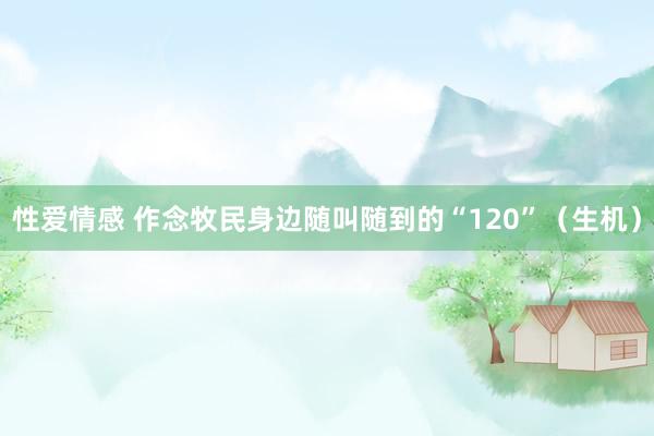 性爱情感 作念牧民身边随叫随到的“120”（生机）