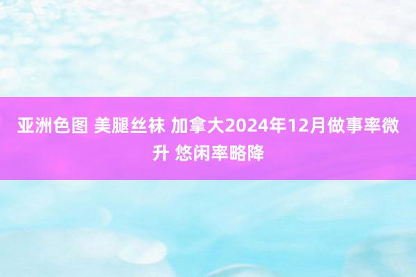 亚洲色图 美腿丝袜 加拿大2024年12月做事率微升 悠闲率略降