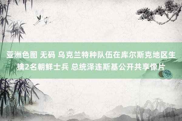 亚洲色图 无码 乌克兰特种队伍在库尔斯克地区生擒2名朝鲜士兵 总统泽连斯基公开共享像片