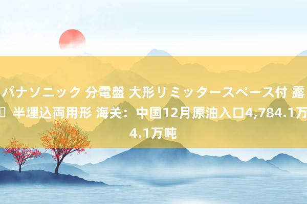 パナソニック 分電盤 大形リミッタースペース付 露出・半埋込両用形 海关：中国12月原油入口4,784.1万吨
