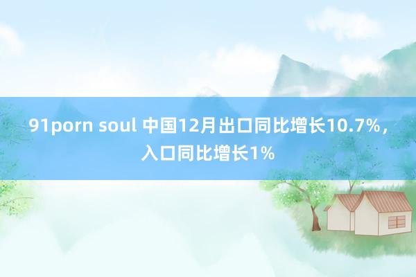 91porn soul 中国12月出口同比增长10.7%，入口同比增长1%