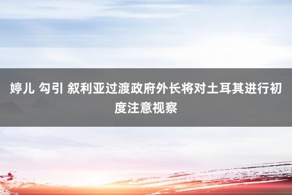 婷儿 勾引 叙利亚过渡政府外长将对土耳其进行初度注意视察