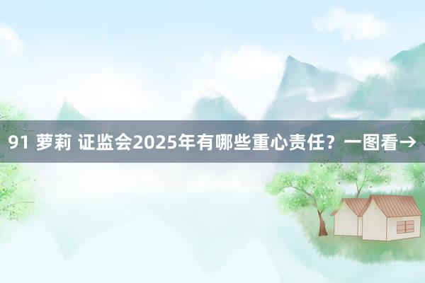 91 萝莉 证监会2025年有哪些重心责任？一图看→