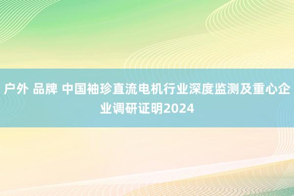 户外 品牌 中国袖珍直流电机行业深度监测及重心企业调研证明2024