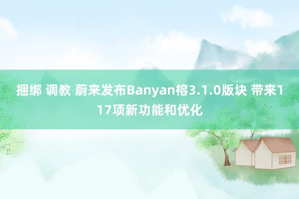 捆绑 调教 蔚来发布Banyan榕3.1.0版块 带来117项新功能和优化