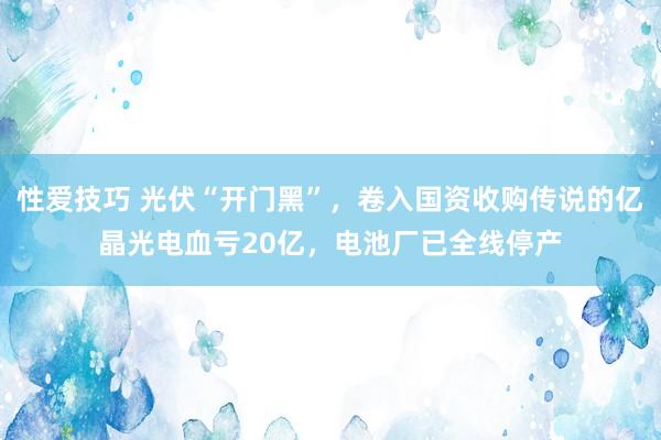 性爱技巧 光伏“开门黑”，卷入国资收购传说的亿晶光电血亏20亿，电池厂已全线停产