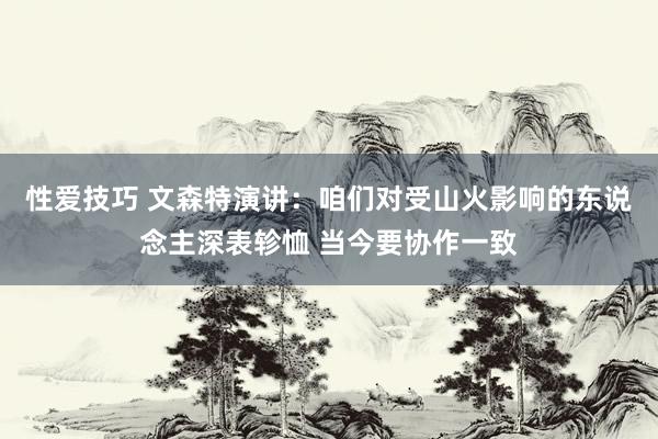 性爱技巧 文森特演讲：咱们对受山火影响的东说念主深表轸恤 当今要协作一致