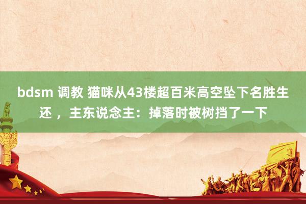 bdsm 调教 猫咪从43楼超百米高空坠下名胜生还 ，主东说念主：掉落时被树挡了一下
