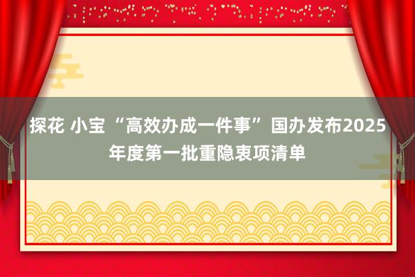 探花 小宝 “高效办成一件事” 国办发布2025年度第一批重隐衷项清单