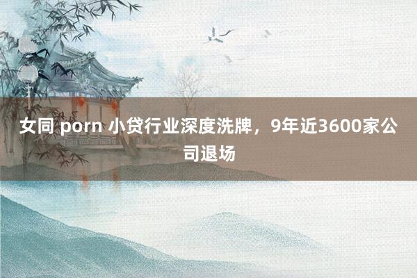 女同 porn 小贷行业深度洗牌，9年近3600家公司退场