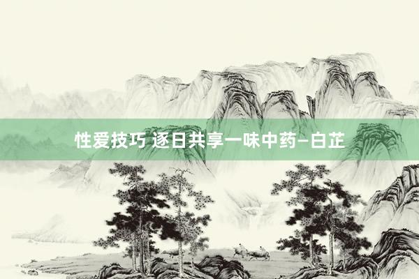 性爱技巧 逐日共享一味中药—白芷