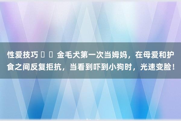 性爱技巧 ▶️金毛犬第一次当姆妈，在母爱和护食之间反复拒抗，当看到吓到小狗时，光速变脸！