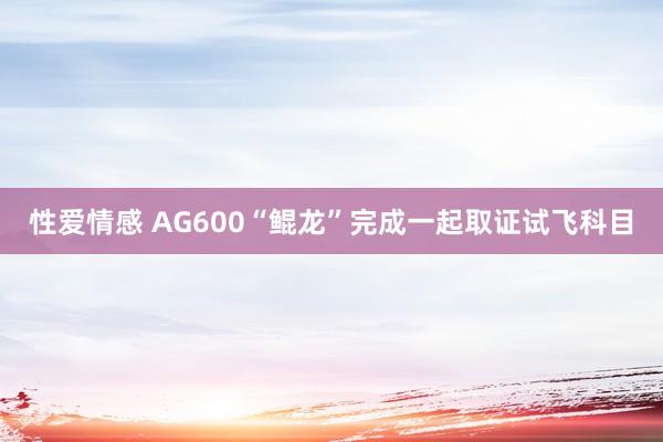 性爱情感 AG600“鲲龙”完成一起取证试飞科目