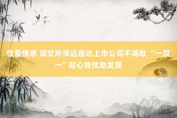 性爱情感 深交所深远造访上市公司不竭歇 “一双一”贴心排忧助发展
