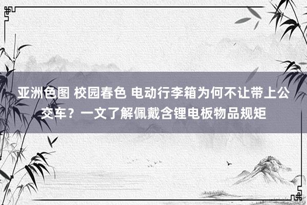 亚洲色图 校园春色 电动行李箱为何不让带上公交车？一文了解佩戴含锂电板物品规矩