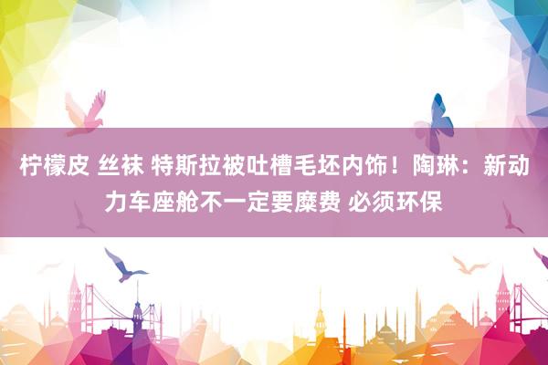 柠檬皮 丝袜 特斯拉被吐槽毛坯内饰！陶琳：新动力车座舱不一定要糜费 必须环保