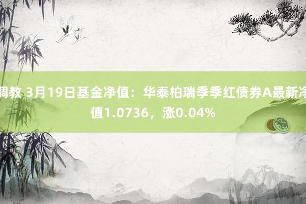 调教 3月19日基金净值：华泰柏瑞季季红债券A最新净值1.0736，涨0.04%