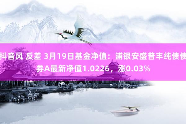 抖音风 反差 3月19日基金净值：浦银安盛普丰纯债债券A最新净值1.0226，涨0.03%