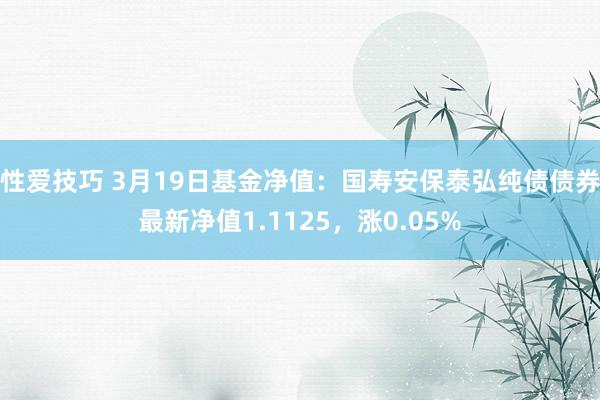 性爱技巧 3月19日基金净值：国寿安保泰弘纯债债券最新净值1.1125，涨0.05%