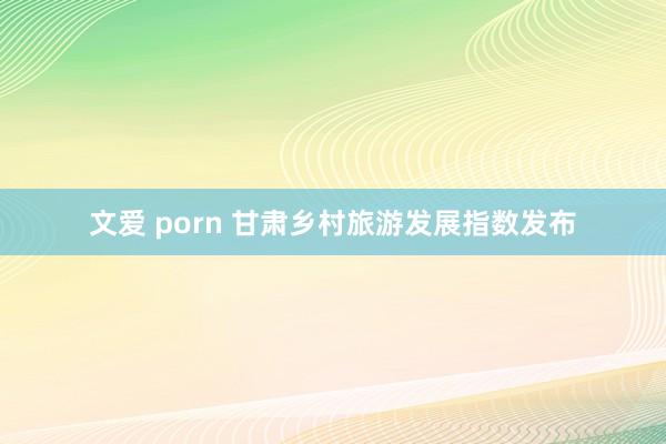 文爱 porn 甘肃乡村旅游发展指数发布