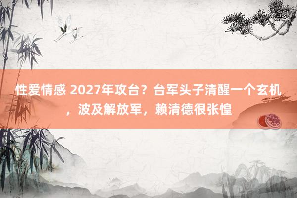 性爱情感 2027年攻台？台军头子清醒一个玄机，波及解放军，赖清德很张惶
