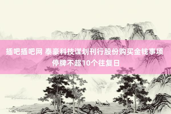 插吧插吧网 泰豪科技谋划刊行股份购买金钱事项 停牌不超10个往复日
