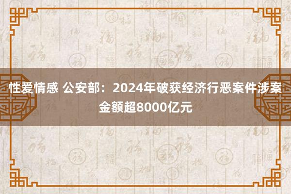 性爱情感 公安部：2024年破获经济行恶案件涉案金额超8000亿元