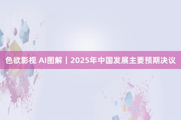 色欲影视 AI图解｜2025年中国发展主要预期决议