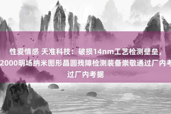性爱情感 天准科技：破损14nm工艺检测壁垒，TB2000明场纳米图形晶圆残障检测装备崇敬通过厂内考据