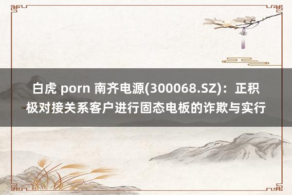 白虎 porn 南齐电源(300068.SZ)：正积极对接关系客户进行固态电板的诈欺与实行