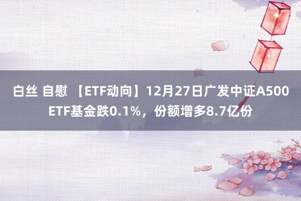 白丝 自慰 【ETF动向】12月27日广发中证A500ETF基金跌0.1%，份额增多8.7亿份